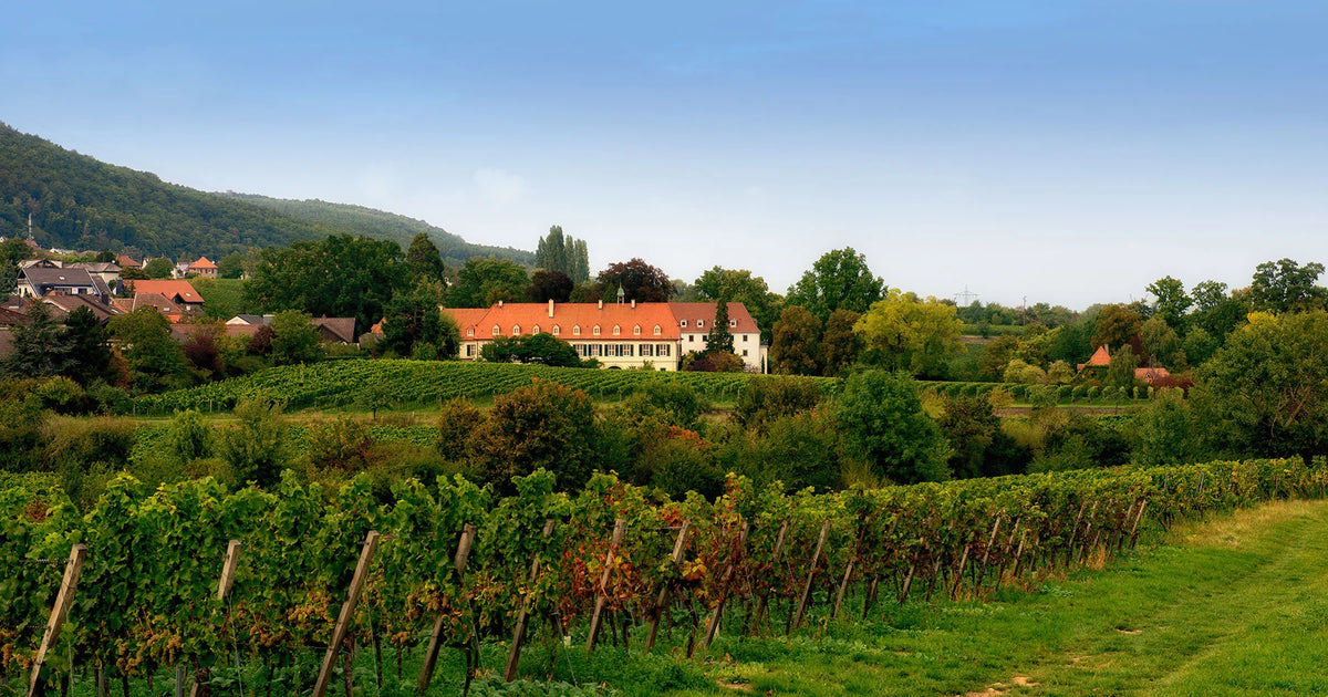 Weingut Peter Stolleis winery