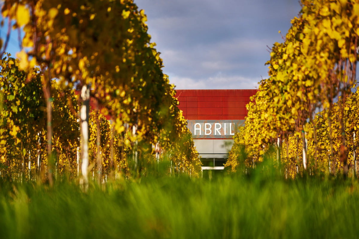 Weingut Abril winery